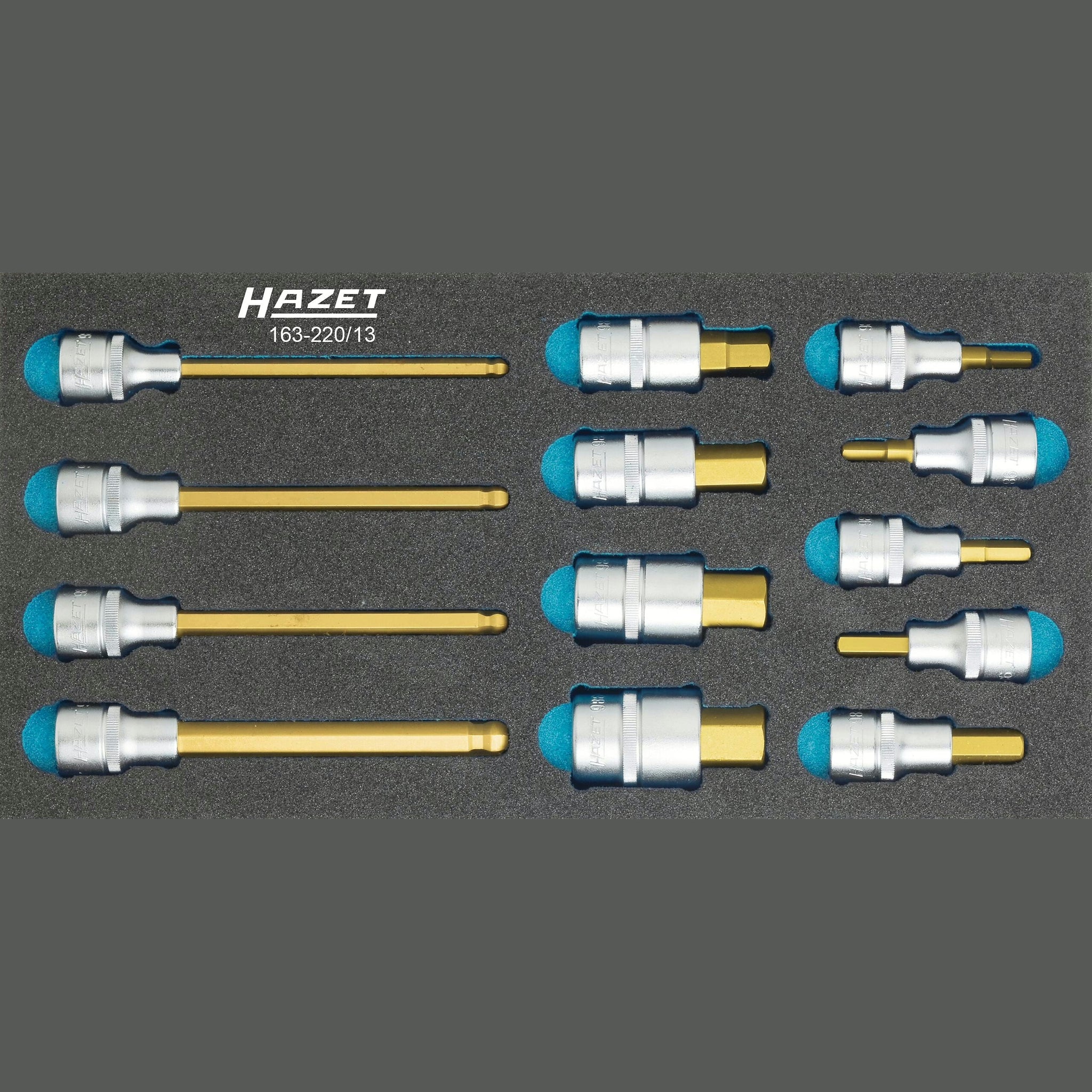 Hazet 163-220/13 Screwdriver socket set