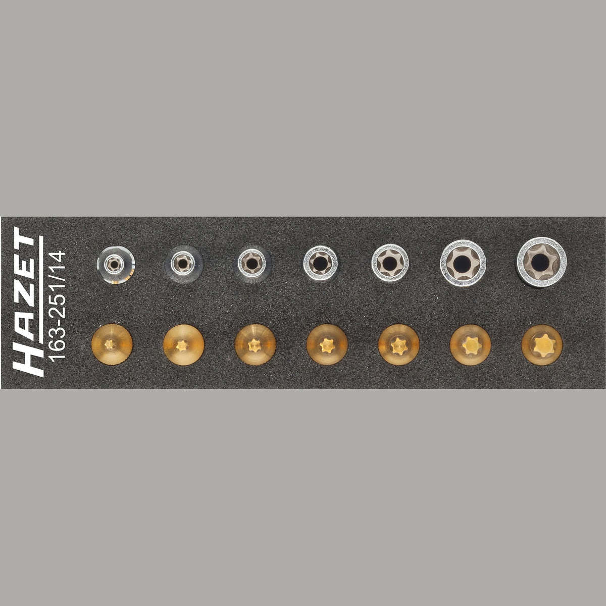 Hazet 163-251/14 Tool set ∙ TORX®