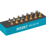 Hazet 163-251/14 Tool set ∙ TORX®