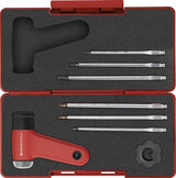 PB 8326 Set A1 MecaTorque, torque screwdriver with analog scale, lever handle, set in a practical ToolBox