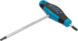 Hazet 829KKT-T10 Screwdriver ∙ with T-handle